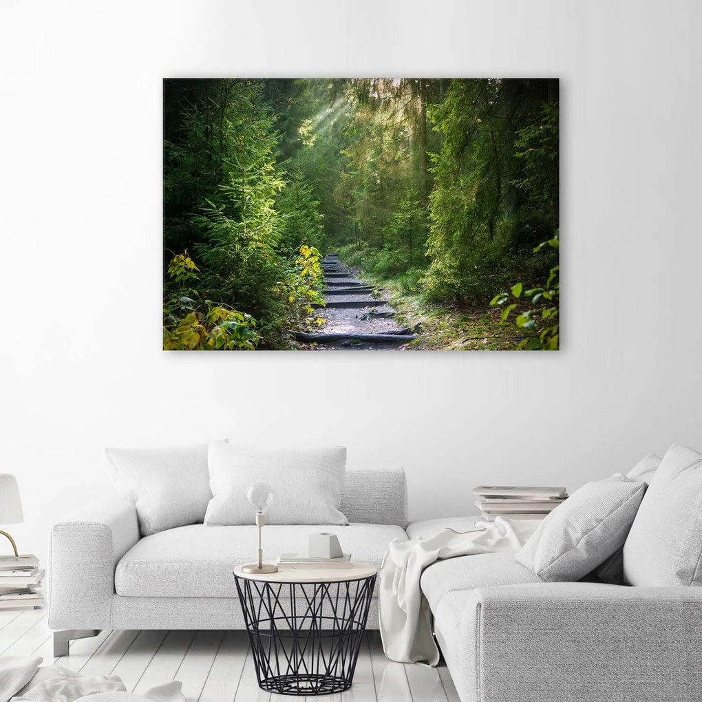 Gario Obraz na plátne Cesta v zelenom lese Rozmery: 60 x 40 cm