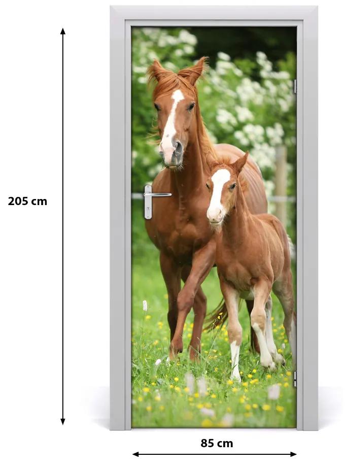 Samolepiace fototapety na dvere kobyla žrebec 85x205 cm