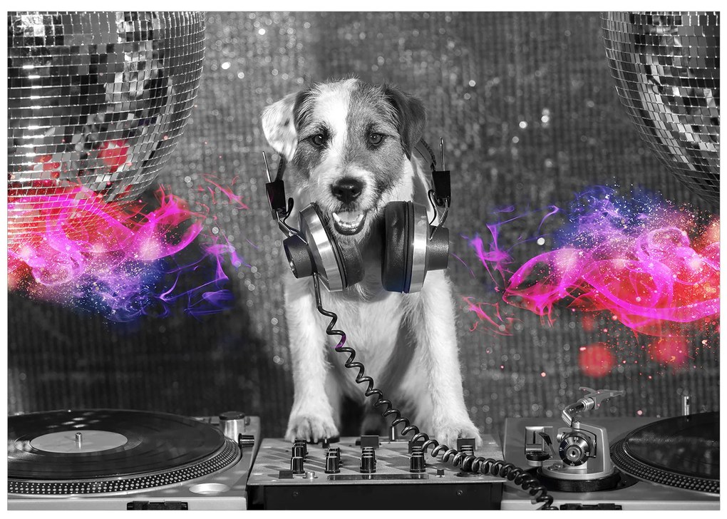 Artgeist Fototapeta - DJ Dog Veľkosť: 100x70, Verzia: Premium