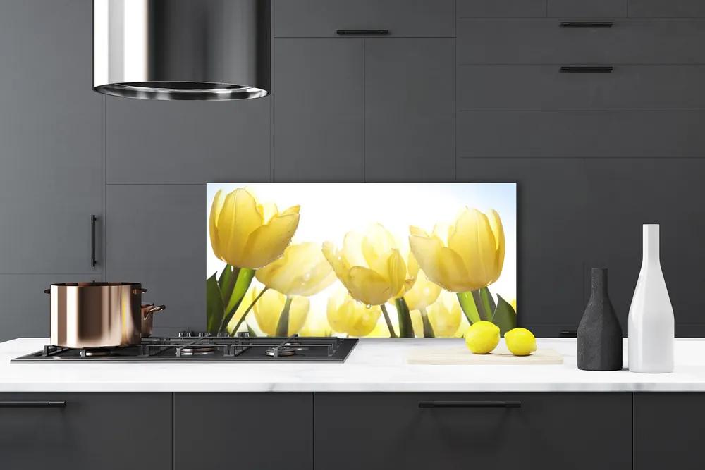 Sklenený obklad Do kuchyne Tulipány kvety lúče 120x60 cm