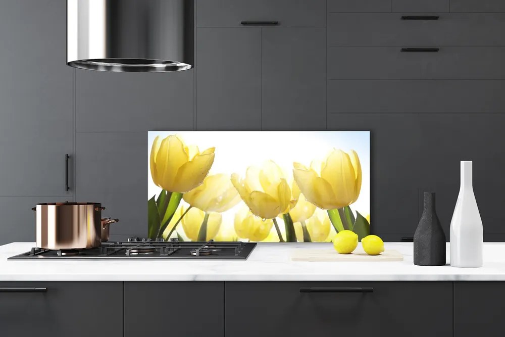 Sklenený obklad Do kuchyne Tulipány kvety lúče 140x70 cm