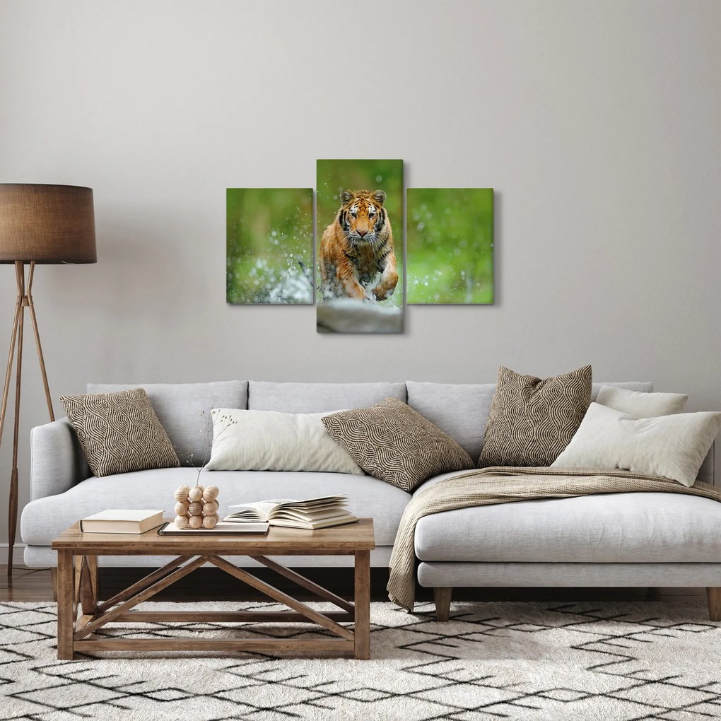Obraz - Bežiaci tiger (90x60 cm)