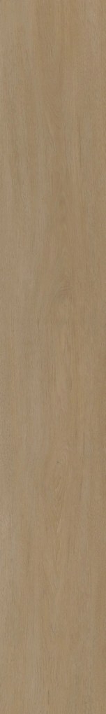 Oneflor Vinylová podlaha lepená ECO 55 064 English Oak Honey - Lepená podlaha