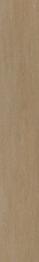 Vinylová podlaha lepená ECO 55 064 English Oak Honey, 1219,2 x 184,1 mm, Oneflor