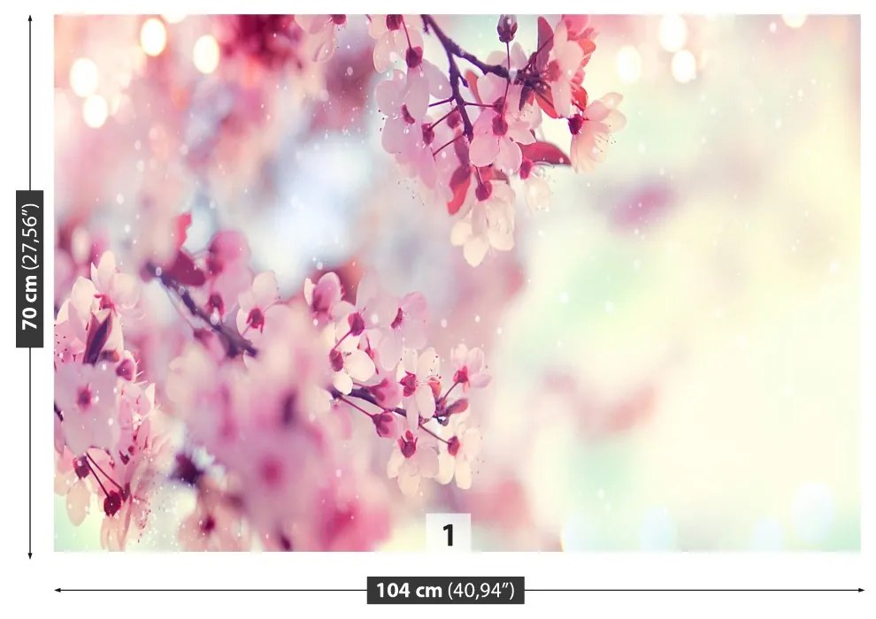 Fototapeta Vliesová Čerešňové kvety 416x254 cm