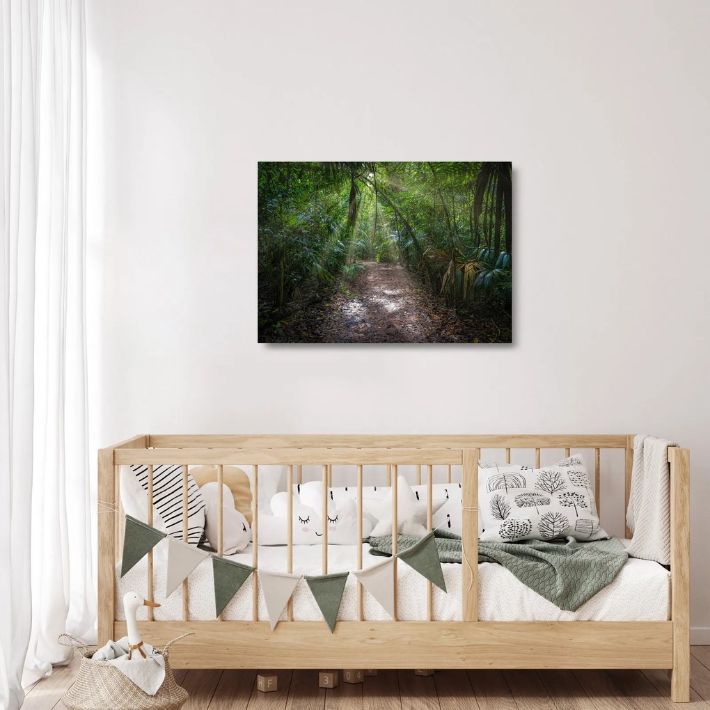Sklenený obraz - Slnečné lúče v džungli (70x50 cm)