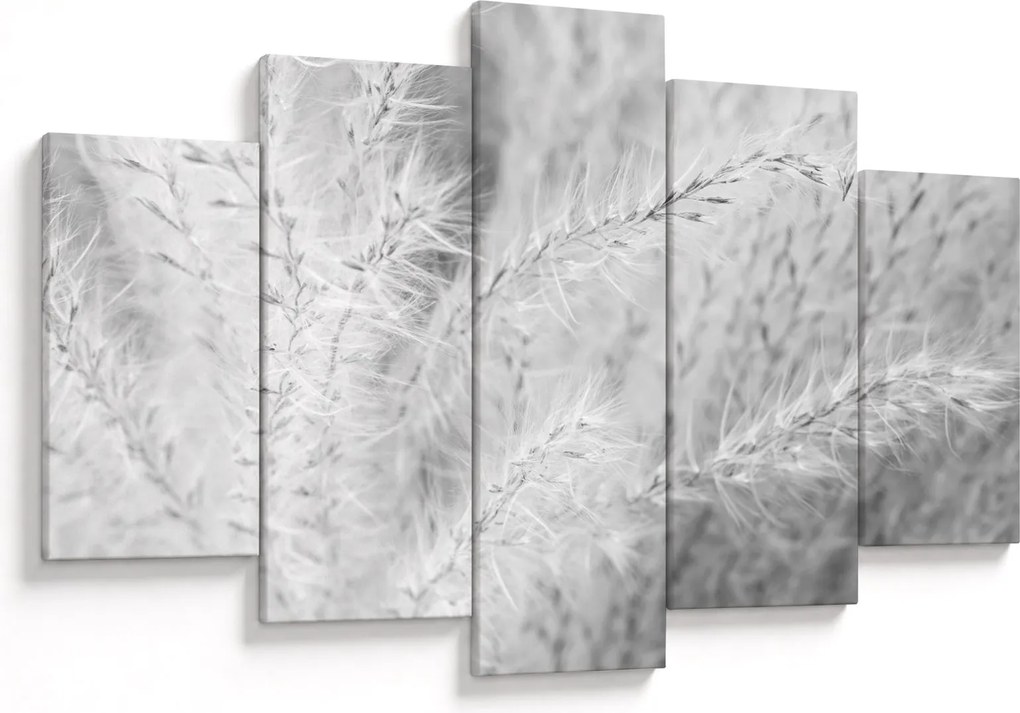 Obraz - Pampas grass N⁰1 (150x105 cm)