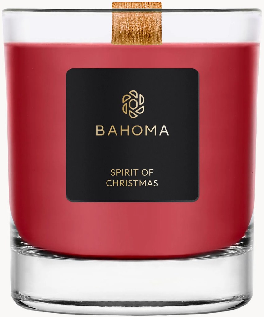 Vonná sviečka Sprit of Christmas (Cassis, Clove & Amber)