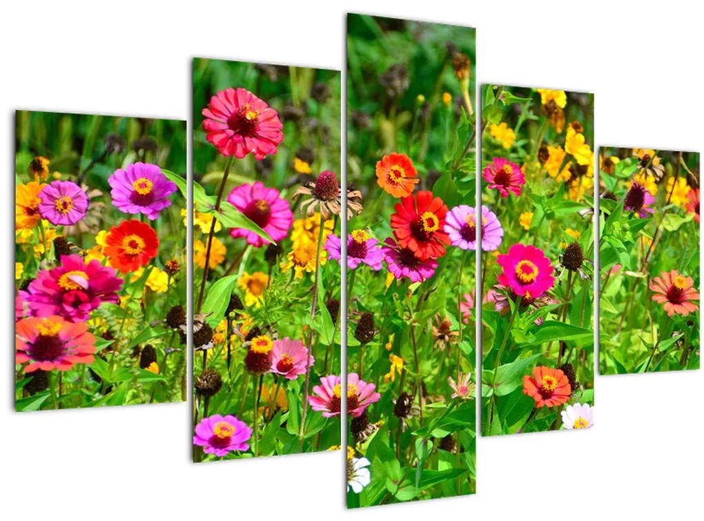 Obraz lúčnych kvetov (150x105 cm)