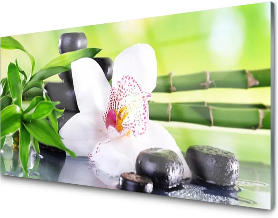 Skleněný obraz Orchidea Kamene Zen Bambus