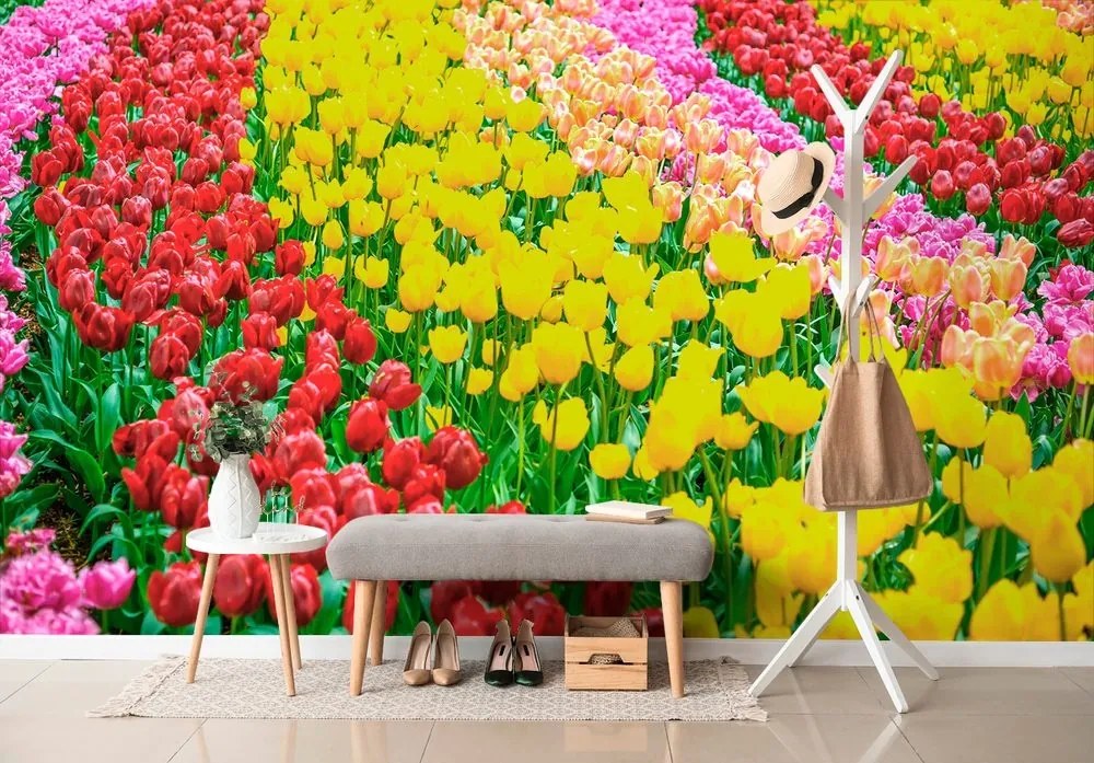Samolepiaca fototapeta záhrada plná tulipánov - 375x250