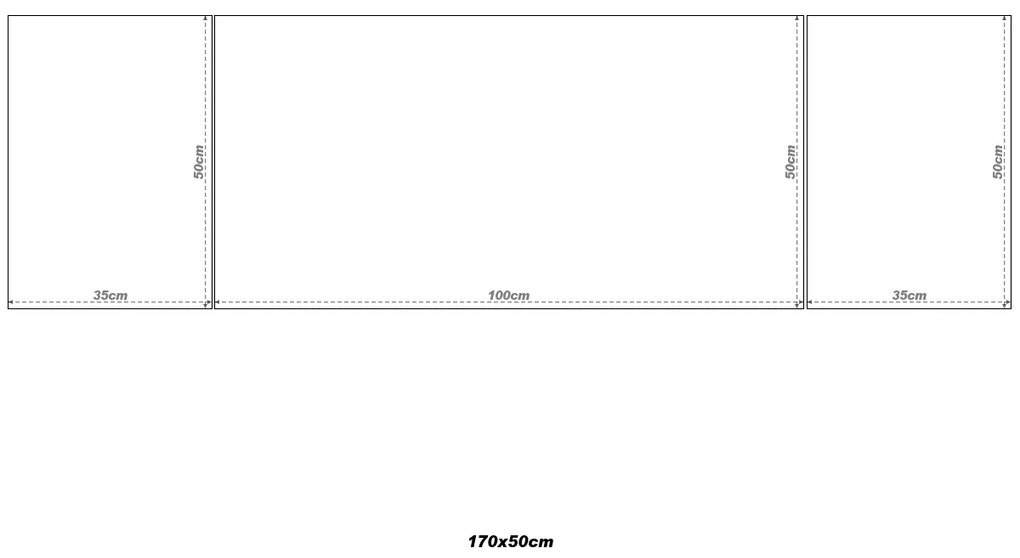 Gario 3 dielny fotoobraz na plátne Rozmery: 90 x 30 cm