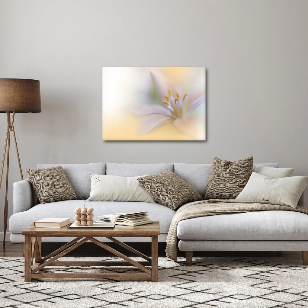 Obraz - Jemný kvet (70x50 cm)