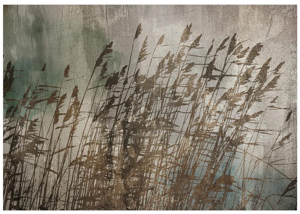 Artgeist Fototapeta - Water Grasses Veľkosť: 147x105, Verzia: Samolepiaca