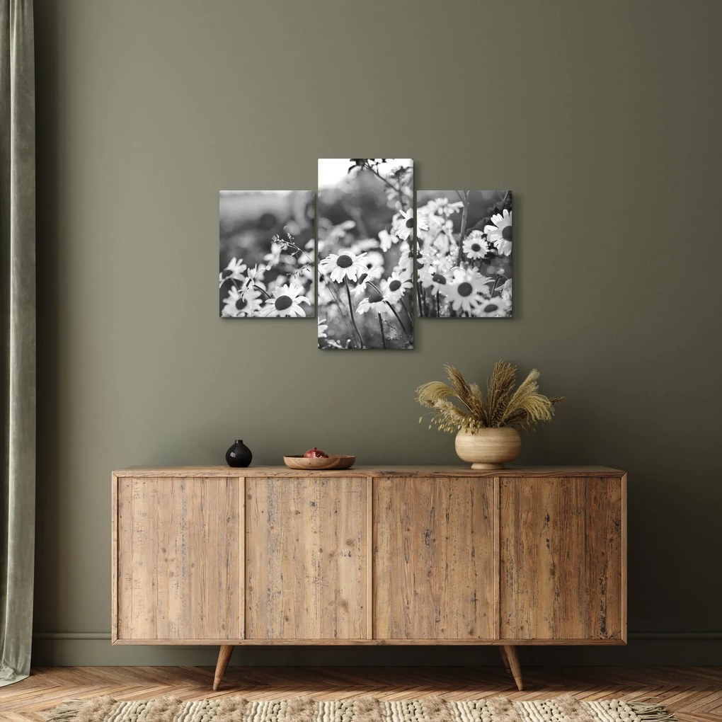 Obraz - Kopretiny (90x60 cm)