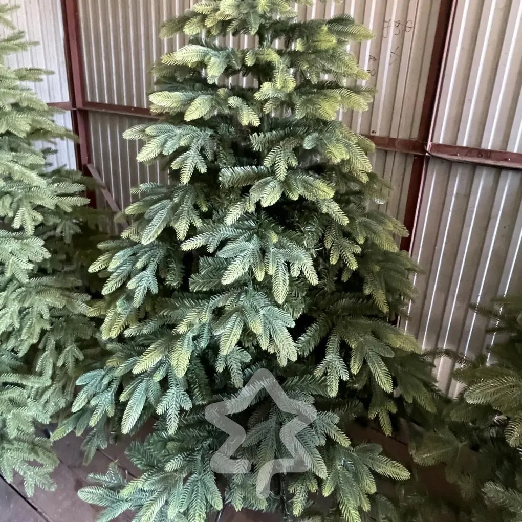 Smrek Tajga 3D 220 cm