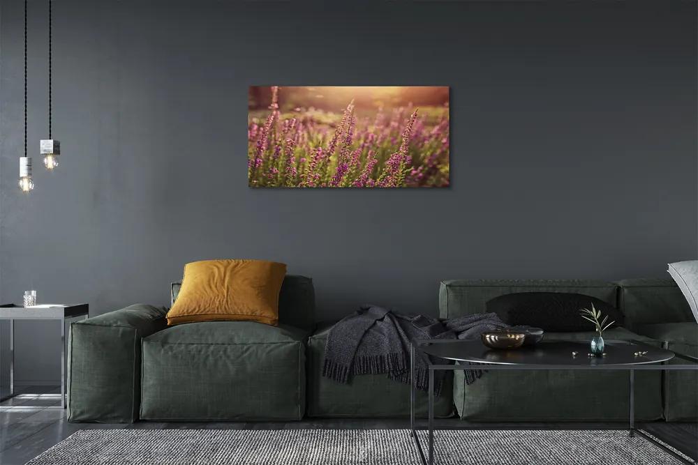 Obraz canvas heather pole 120x60 cm