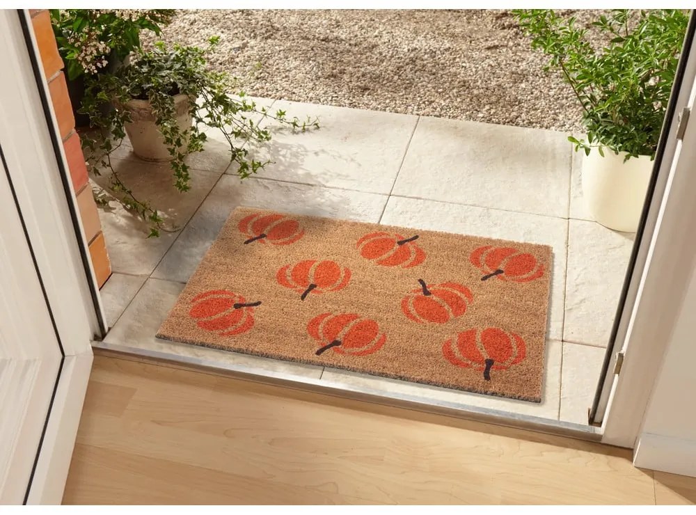 Rohožka 45x75 cm Mix Mats - Hanse Home
