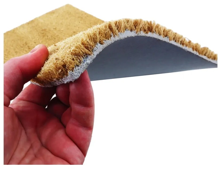 Rohožka z kokosového vlákna 40x60 cm Probably At The Gym – Artsy Doormats