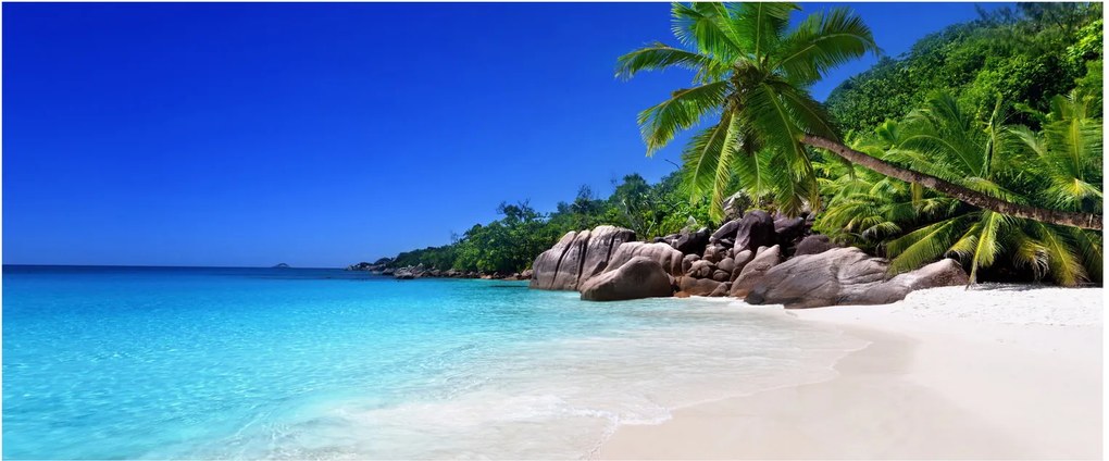 Obraz pláže na Praslin ostrove (120x50 cm)