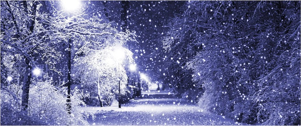 Obraz - Čarovná zimná noc (120x50 cm)