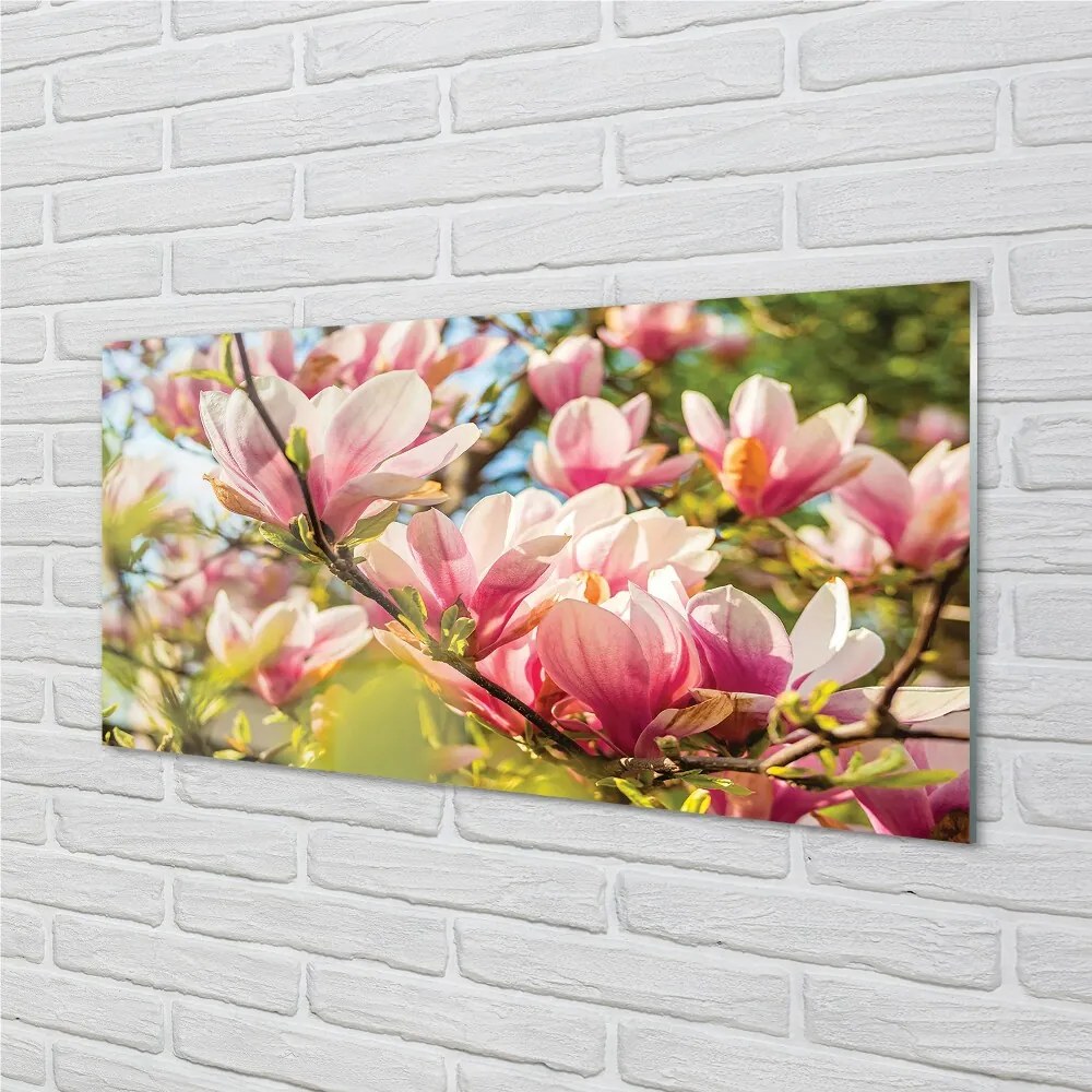 Sklenený obraz ružová magnólia 100x50 cm