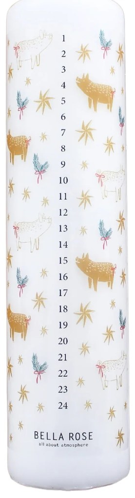 Bella Rose Adventní svíčka Zlaté prasátko