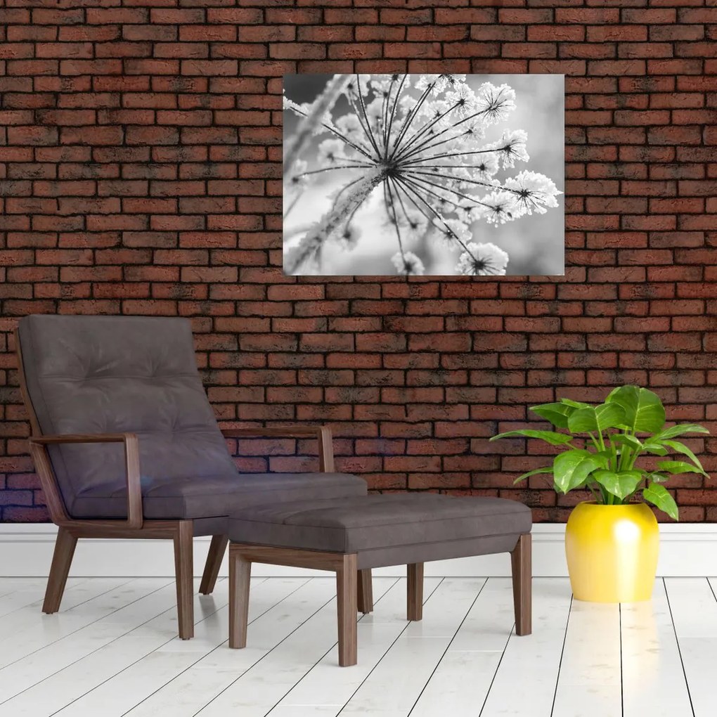 Sklenený obraz - Kvetina v zime (70x50 cm)