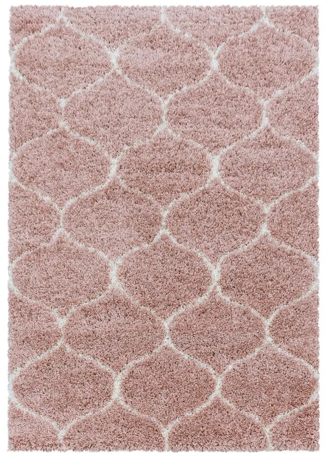 Ružový koberec 160x230 cm Salsa – Ayyildiz Carpets