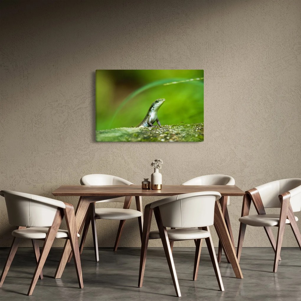 Obraz jašteričky (90x60 cm)
