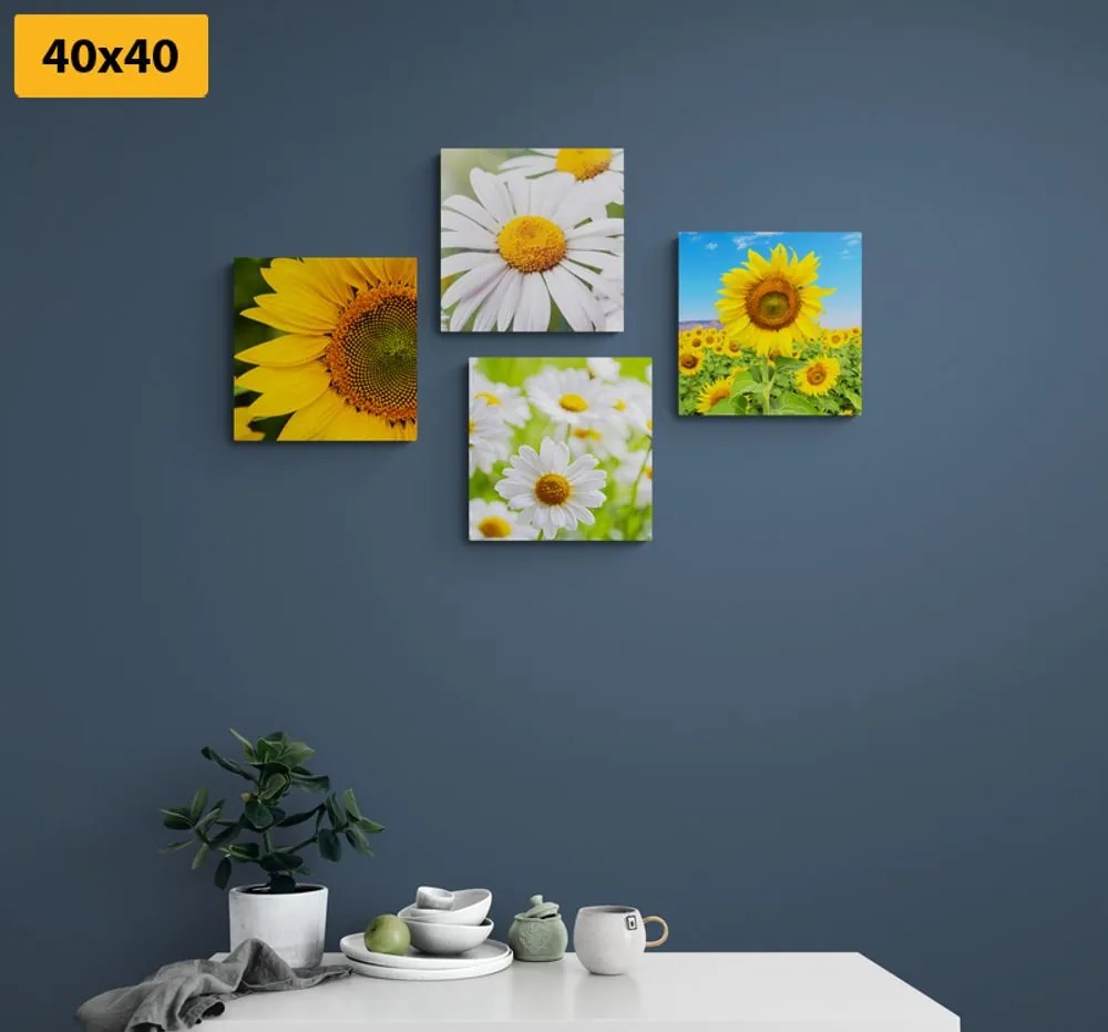 Set obrazov nádherné kvety na lúke Varianta: 4x 40x40