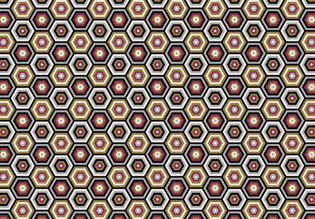 Fototapeta - Šesťuholník (152,5x104 cm)