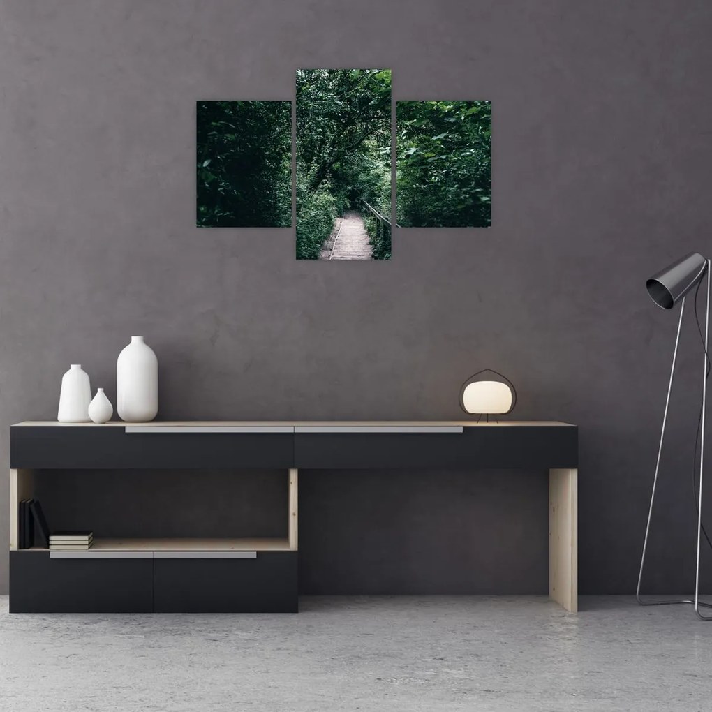 Obraz - Cesta lesom (90x60 cm)