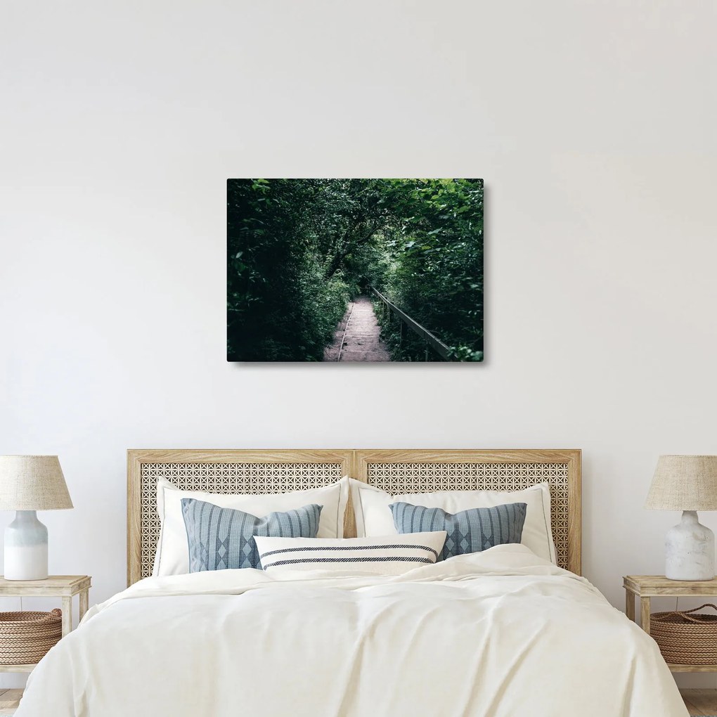 Obraz - Cesta lesom (70x50 cm)