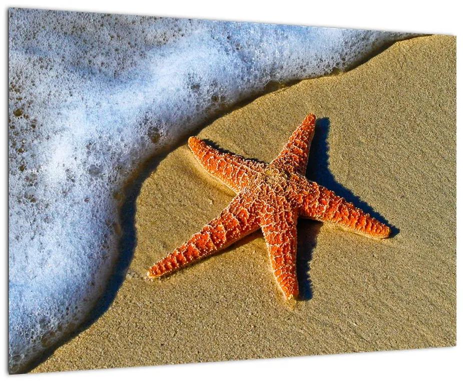 Obraz s morskou hviezdou