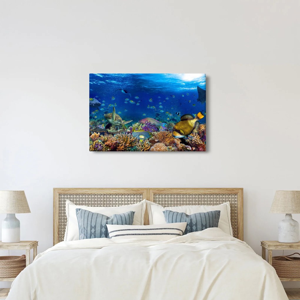 Obraz - Oceán (90x60 cm)