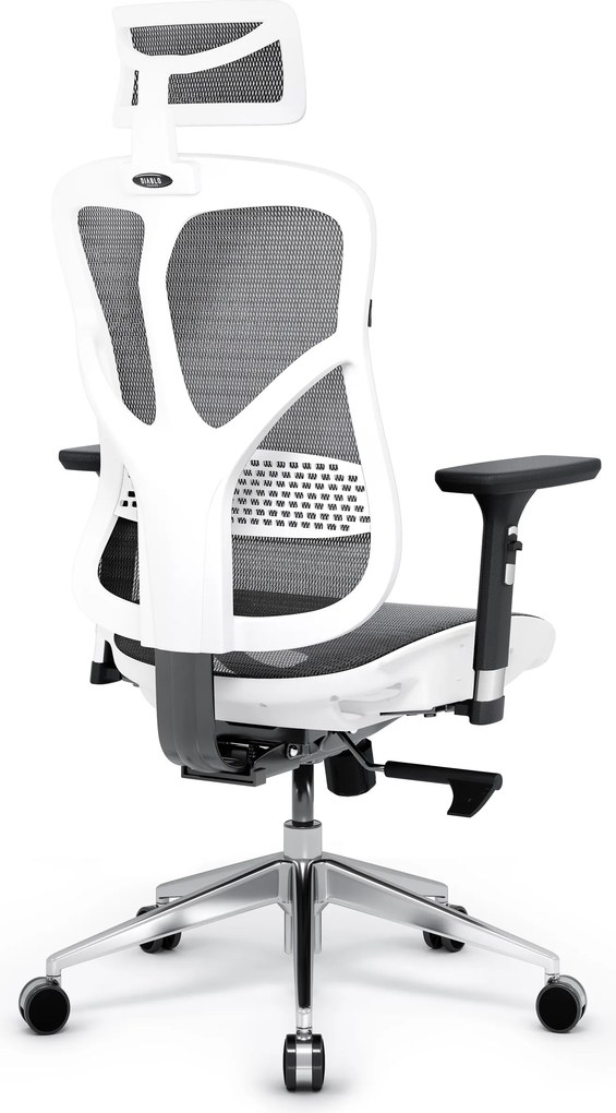 Ergonomická kancelárska stolička zo sieťoviny, biely-sivý: Diablo V-Basic
