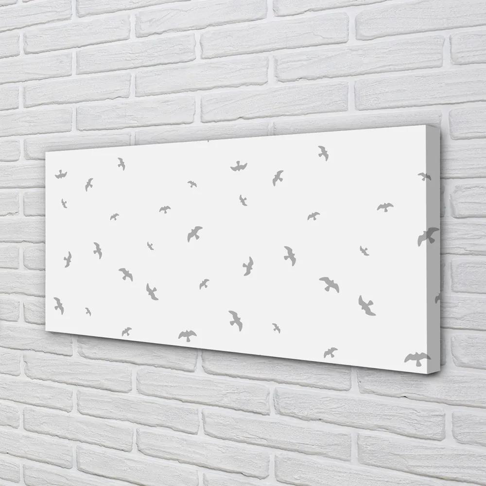 Obraz na plátne šedej vtákov 100x50 cm