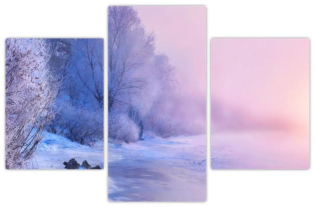 Obraz - Zamrznutá rieka (90x60 cm)