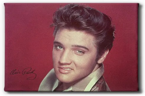 GLIX Elvis Presley II. - obraz na plátne 60 x 40 cm