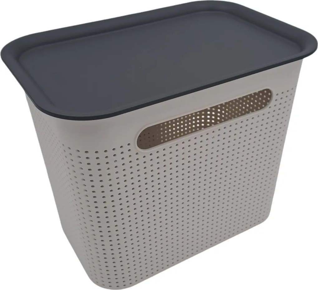 Rotho Úložný box s rúčkami BRISEN 7l, 26x18x21cm, biely