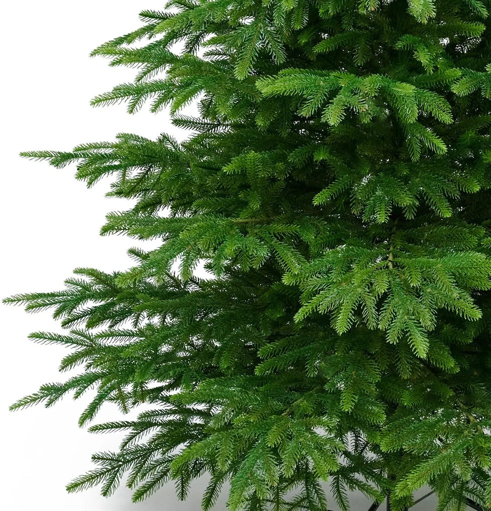 Smrek Beskydský 100% 3D- 255cm