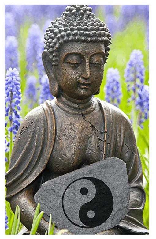 Plagát jin a jang Budha