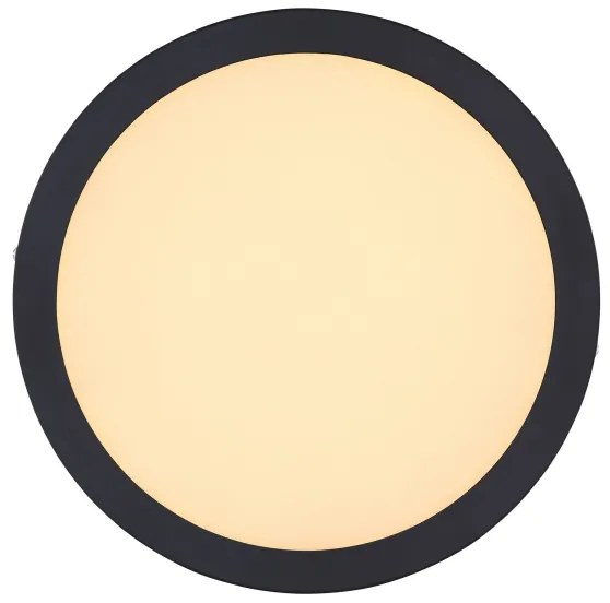 Globo 12374-24R - LED Stropné svietidlo DINO LED/22W/230V