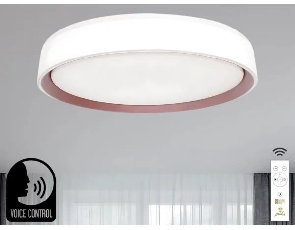 LED Stmievateľné stropné svietidlo s hlasovým ovládaním OPAL LED/48W/230V + DO
