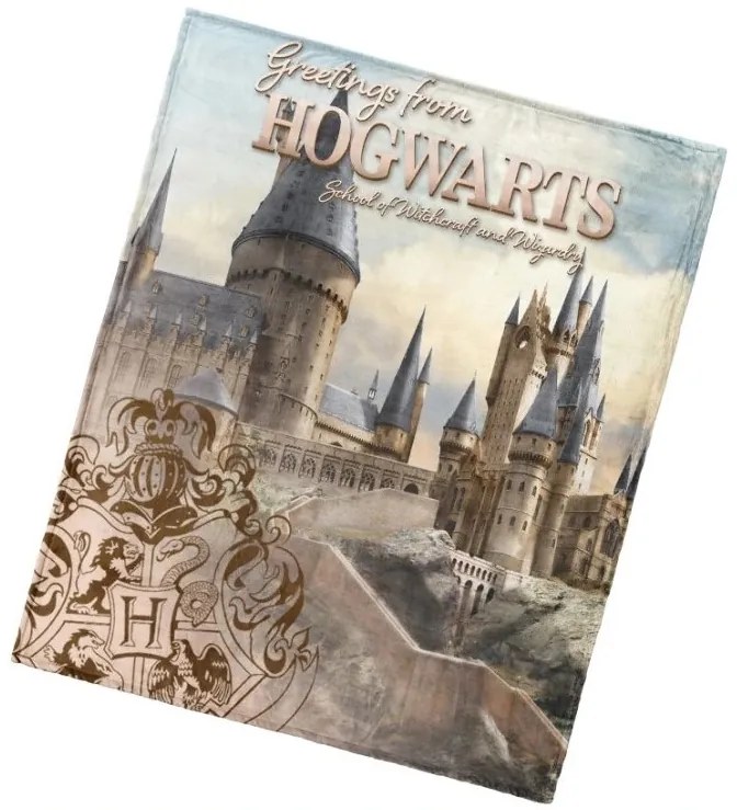 Detská deka Harry Potter Rokfortské Tajomstvo 130x160 cm