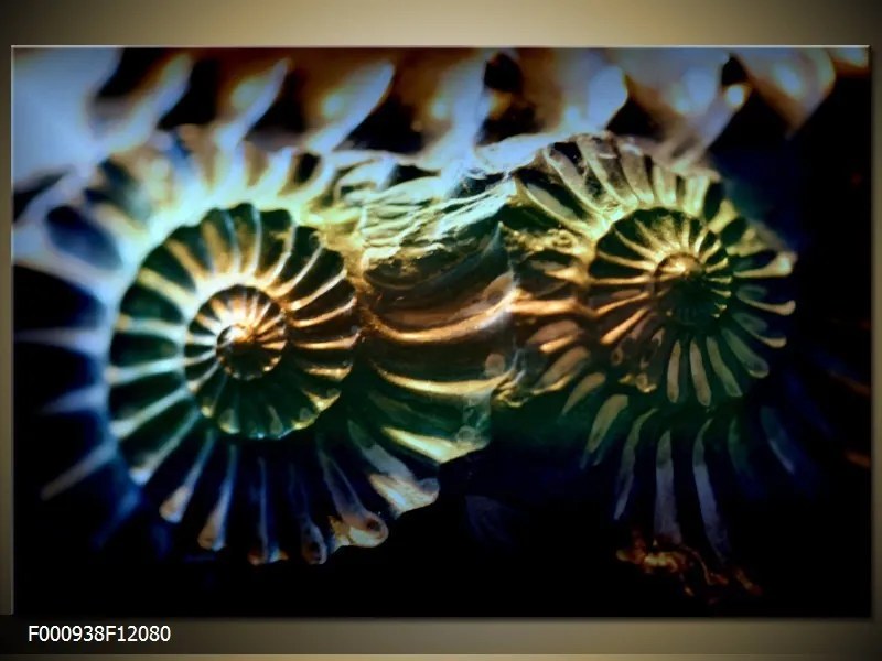 Obraz na plátne Dúhové ulity, Obdĺžnik 120x80cm 87,92 €