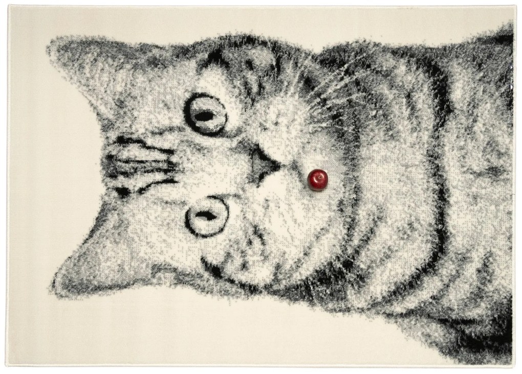Kusový koberec Cat grey, 160x230, šedá, detská izba, Alfa Carpets
