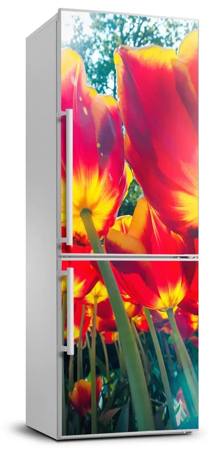 Nálepka fototapety na chladničku Tulipány FridgeStick-70x190-f-113693972