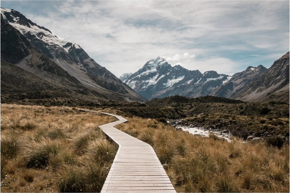 Obraz - Chodník v údolí hory Mt. Cook (90x60 cm)